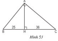 Giải Toán lớp 8 Bài 8: Các trường hợp đồng dạng của tam giác vuông