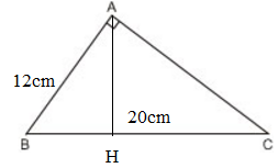 Giải Toán lớp 8 Bài 8: Các trường hợp đồng dạng của tam giác vuông
