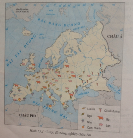 Giải bài tập Địa lý lớp 7 Bài 55: Kinh tế châu Âu